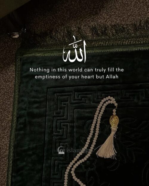 Nothing in this world can truly fill the emptiness of your heart but Allah