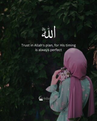 Trust in Allah's plan, for His timing is always perfect