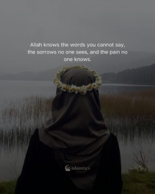 Allah knows the words you cannot say, the sorrows no one sees, and the pain no one knows.