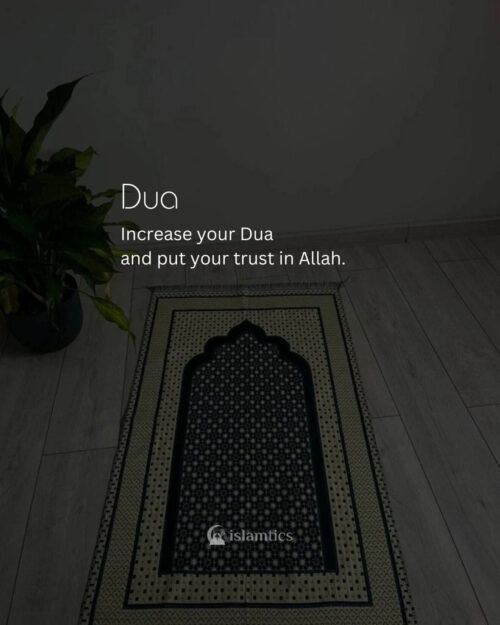 Increase your Dua and put your trust in Allah.