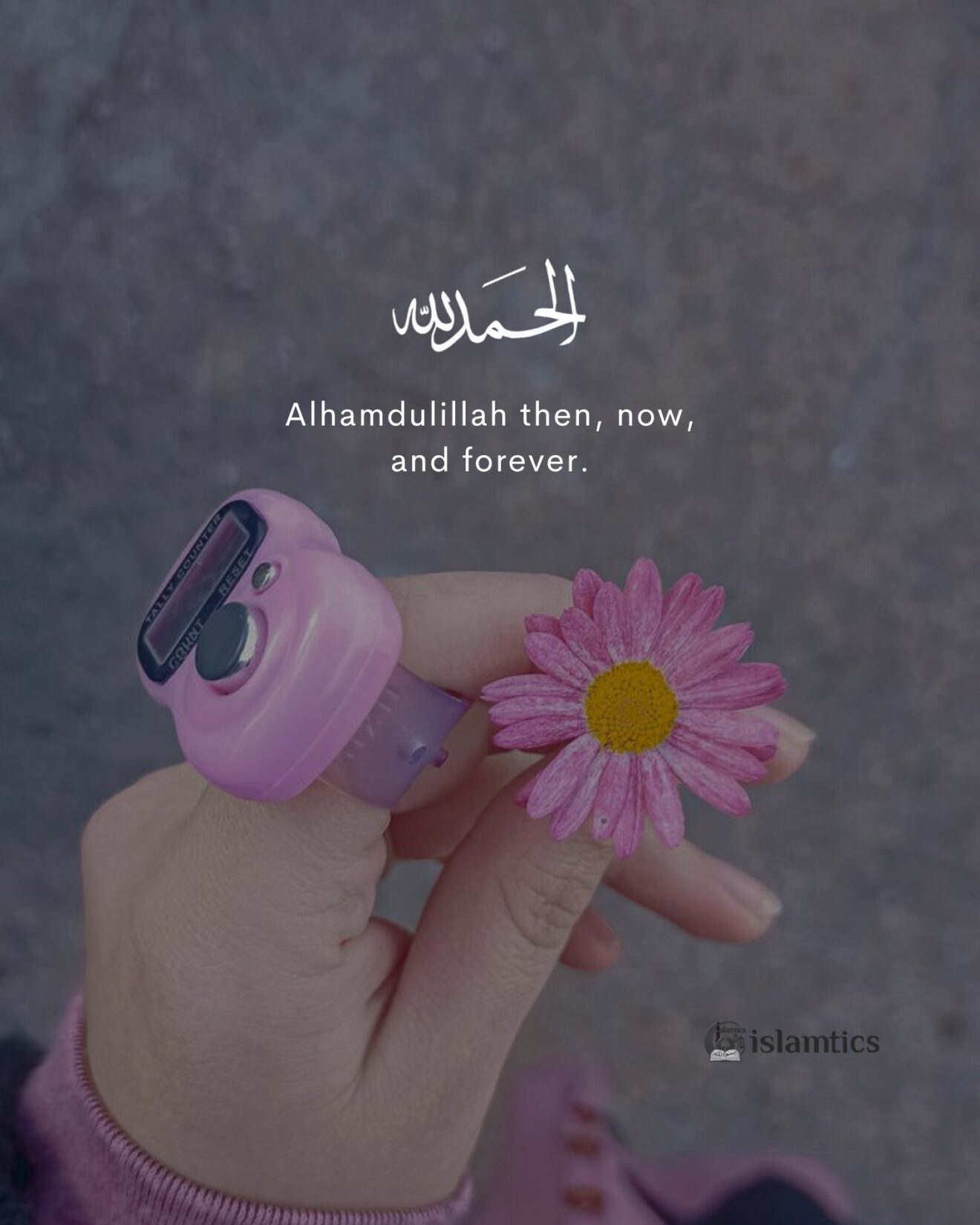 alhamdulillah-then-now-and-forever-all-about-islam-and-its-branches