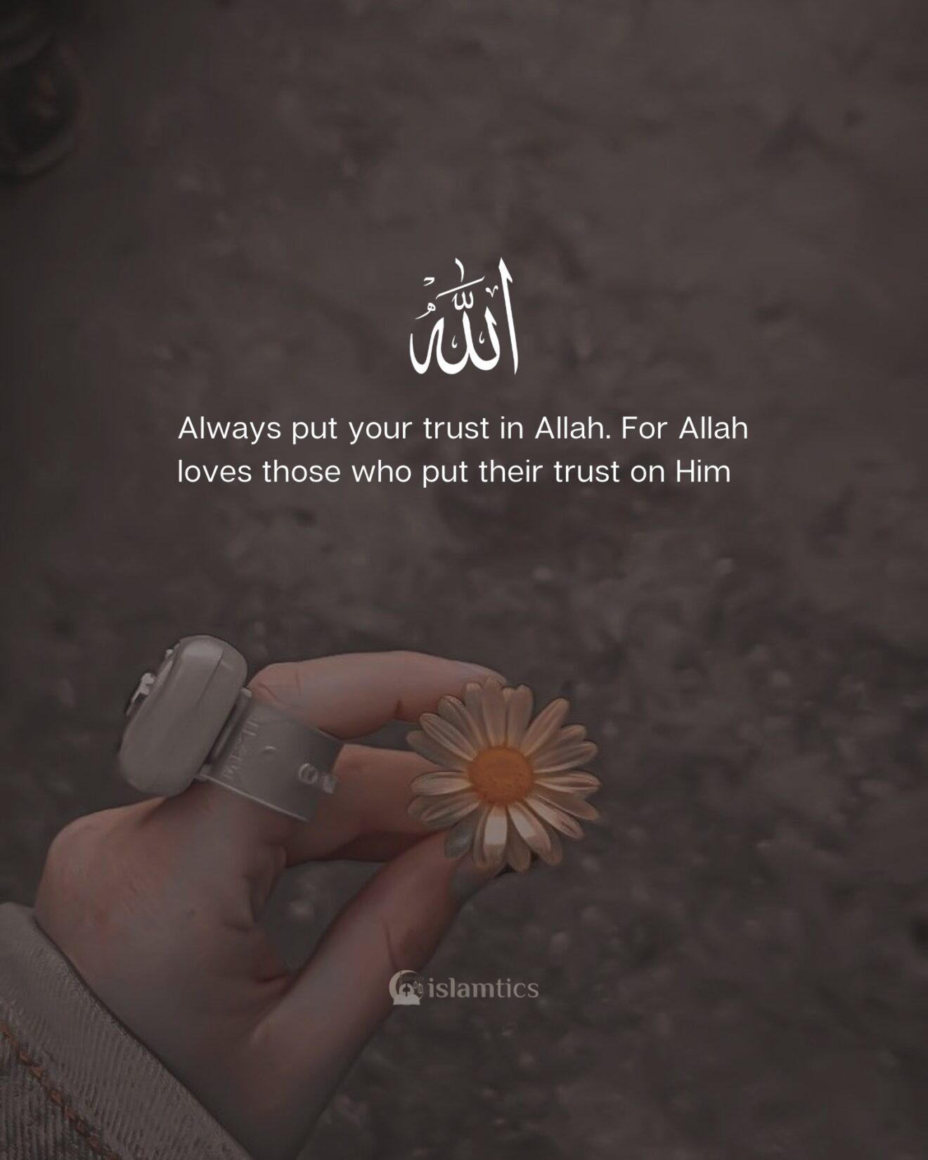  Always put your trust in Allah.