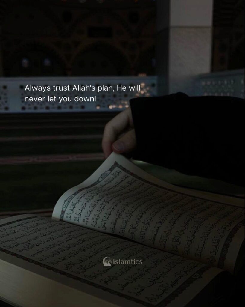 Always trust Allah's plan, He will never let you down!