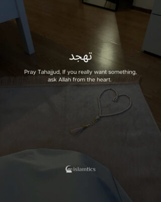 Pray Tahajjud, If you really want something, ask from the heart.