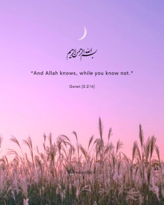 “And Allah knows, while you know not.”