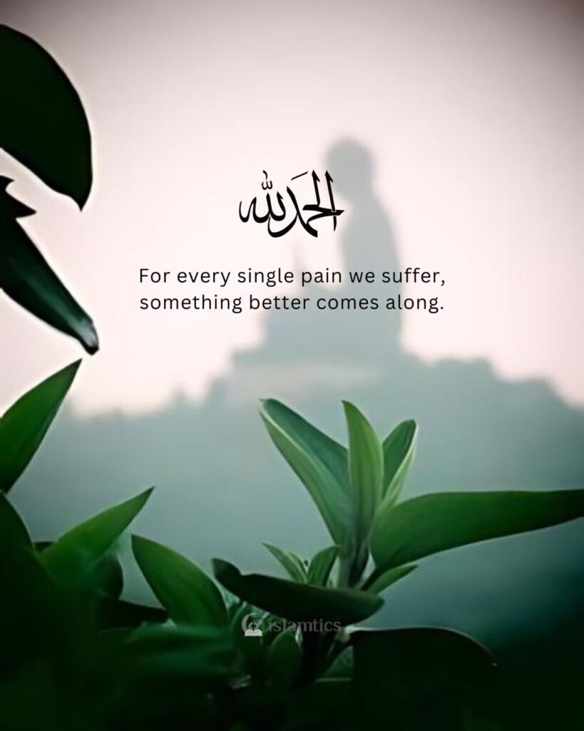 for every single pain we suffer, something better comes along.