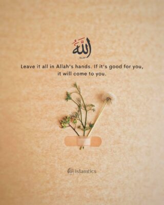 Leave it all in Allah's hands. If it's good for you, it will come to you.