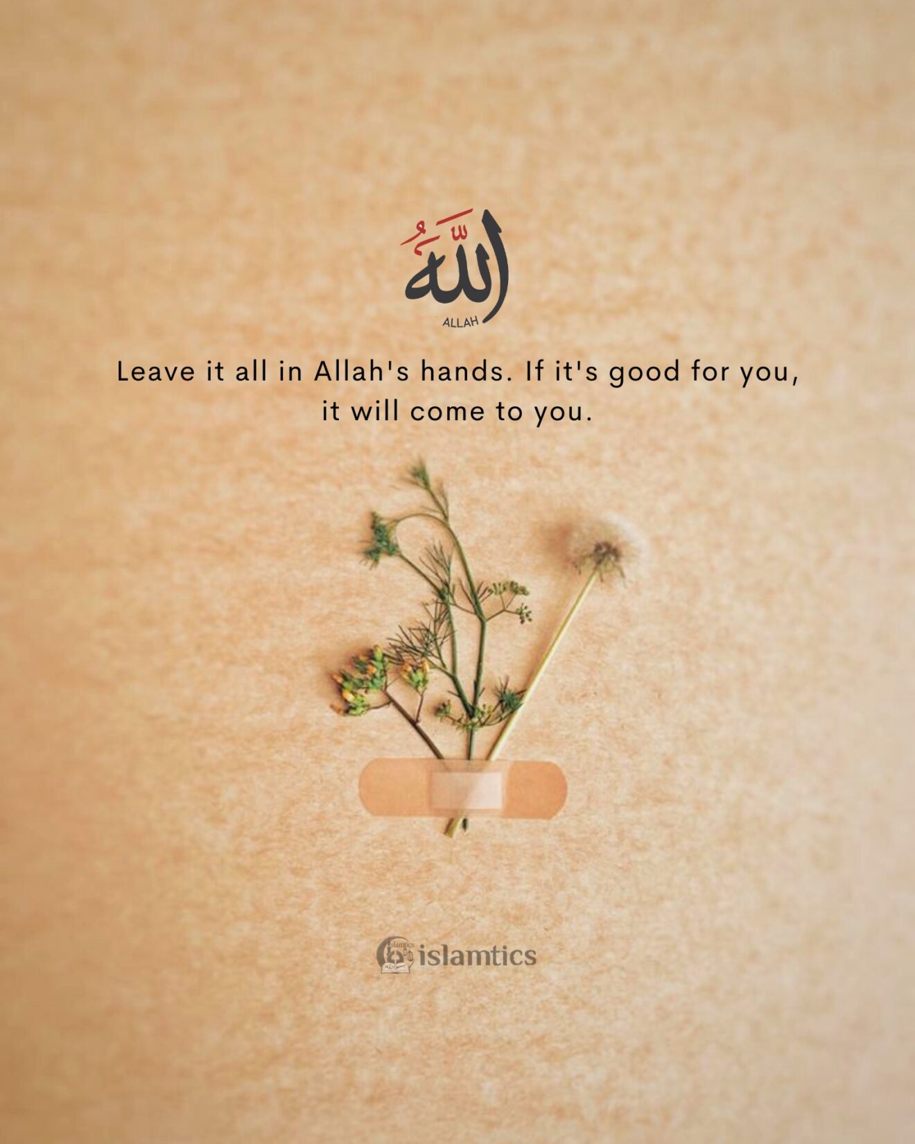 Leave it all in Allah’s hands. If it’s good for you, it will come to you.