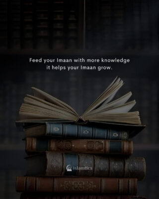 Feed your Imaan with more knowledge it helps your Imaan grow.