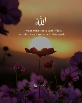 If your mind rests with Allah, nothing can harm you in this world.