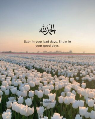 Sabr in your bad days. Shukr in your good days.