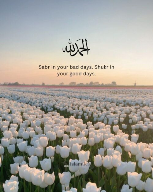 Sabr in your bad days. Shukr in your good days.