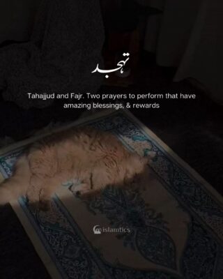 Tahajjud and Fajr. Two prayers to perform that have amazing blessings, & rewards