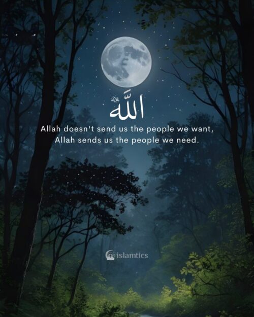 Allah doesn't send us the people that we want , Allah send us the people that we need.