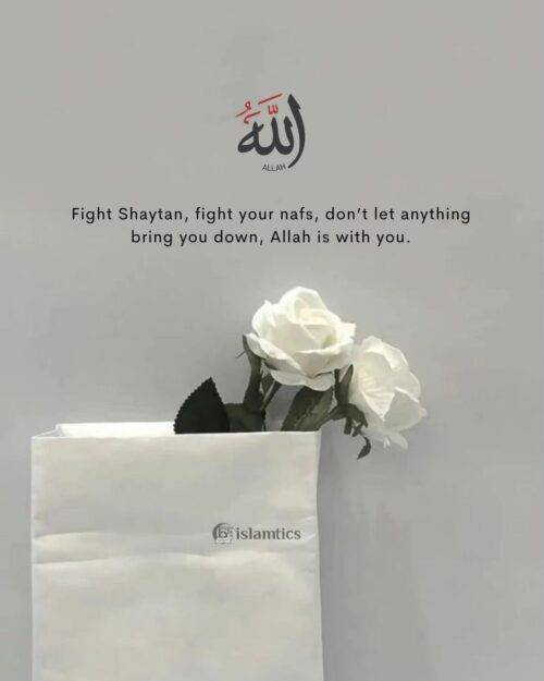 Fight Shaytan, fight your nafs, don’t let anything bring you down, Allah is with you.