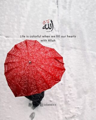 Life is colorful when we fill our hearts with Allah