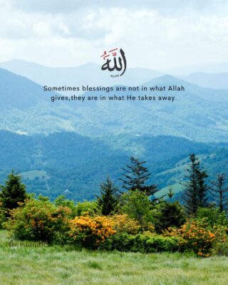 Sometimes blessings are not in what Allah gives, they are in what He takes away.