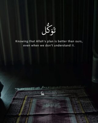 Tawakkul means knowing that Allah's plan is better than ours, even when we don't understand it.