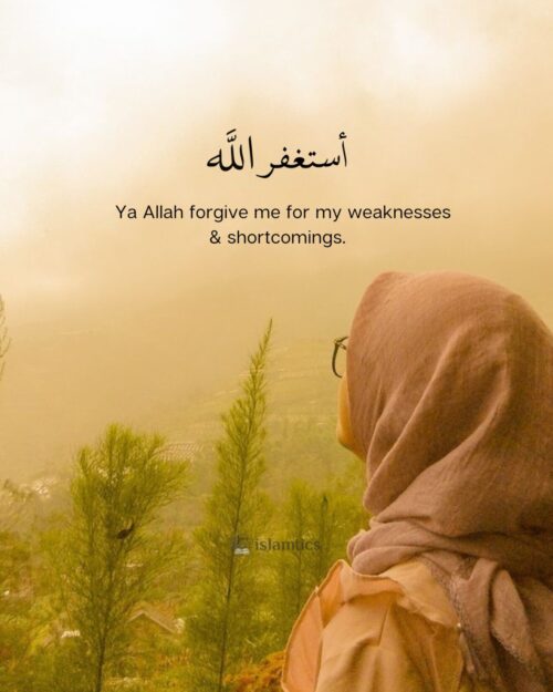 Ya Allah forgive me for my weaknesses & shortcomings.