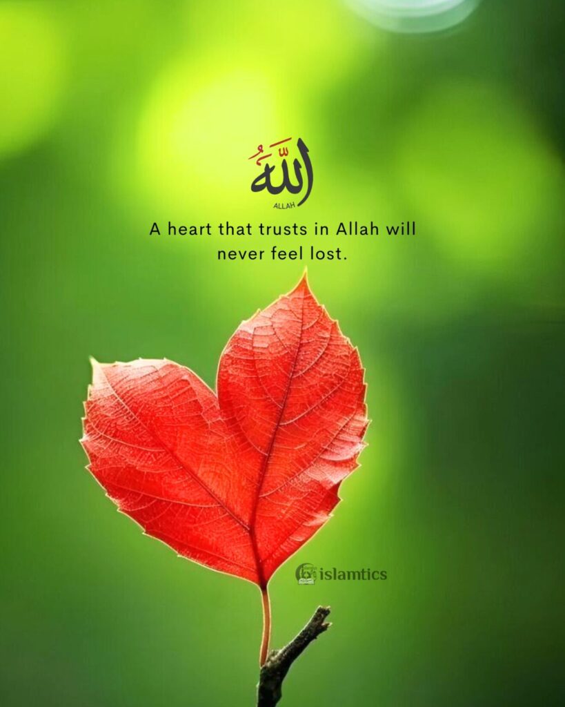 A heart that trusts in Allah will never feel lost.