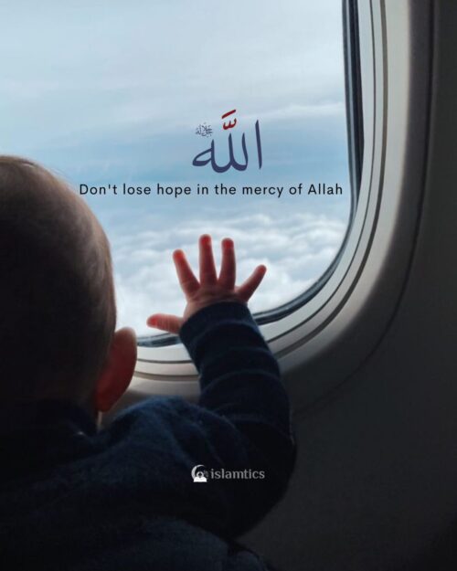 Don't lose hope in the mercy of Allah