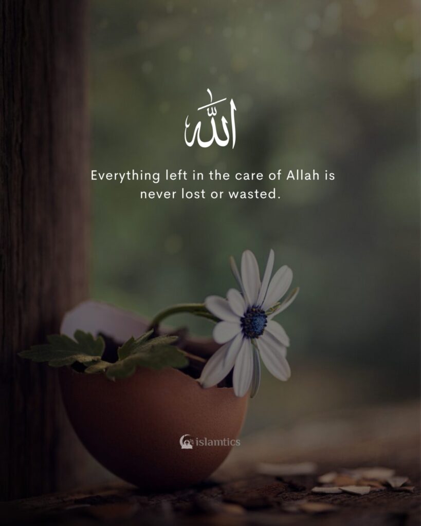 Everything left in the care of Allah is never lost or wasted.