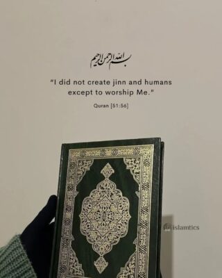 “I did not create jinn and humans except to worship Me.”