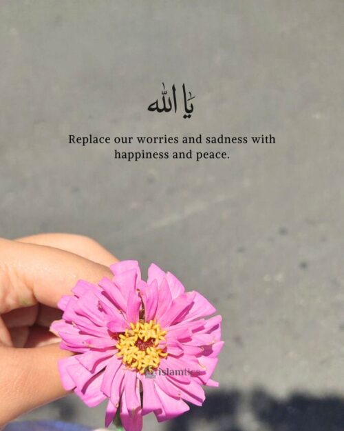 Ya Allah, replace our worries and sadness with happiness and peace.