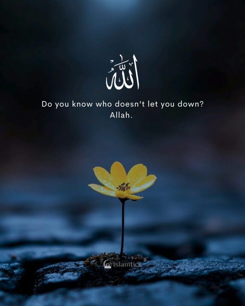 Do you know who doesn’t let you down? Allah.