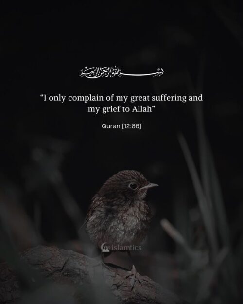 “I only complain of my great suffering and my grief to Allah”