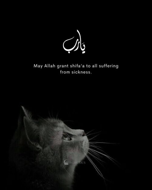 May Allah grant shifa’a to all suffering from sickness.