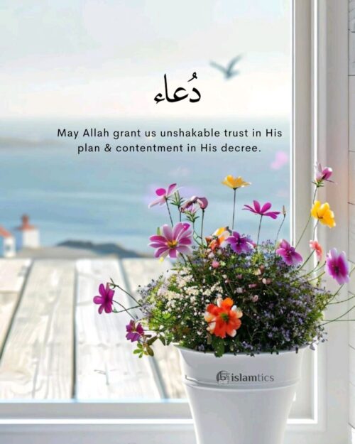 May Allah grant us unshakable trust in His plan and contentment in His decree.