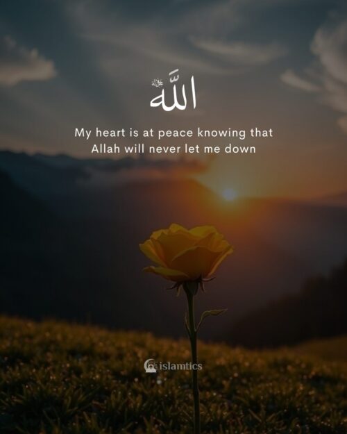 My heart is at peace knowing that Allah will never let me down