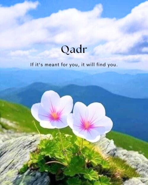 Qadr If it's meant for you, it will find you.