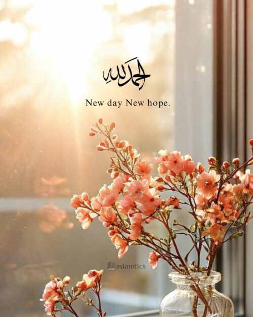 Alhamdulillah New day New hope.