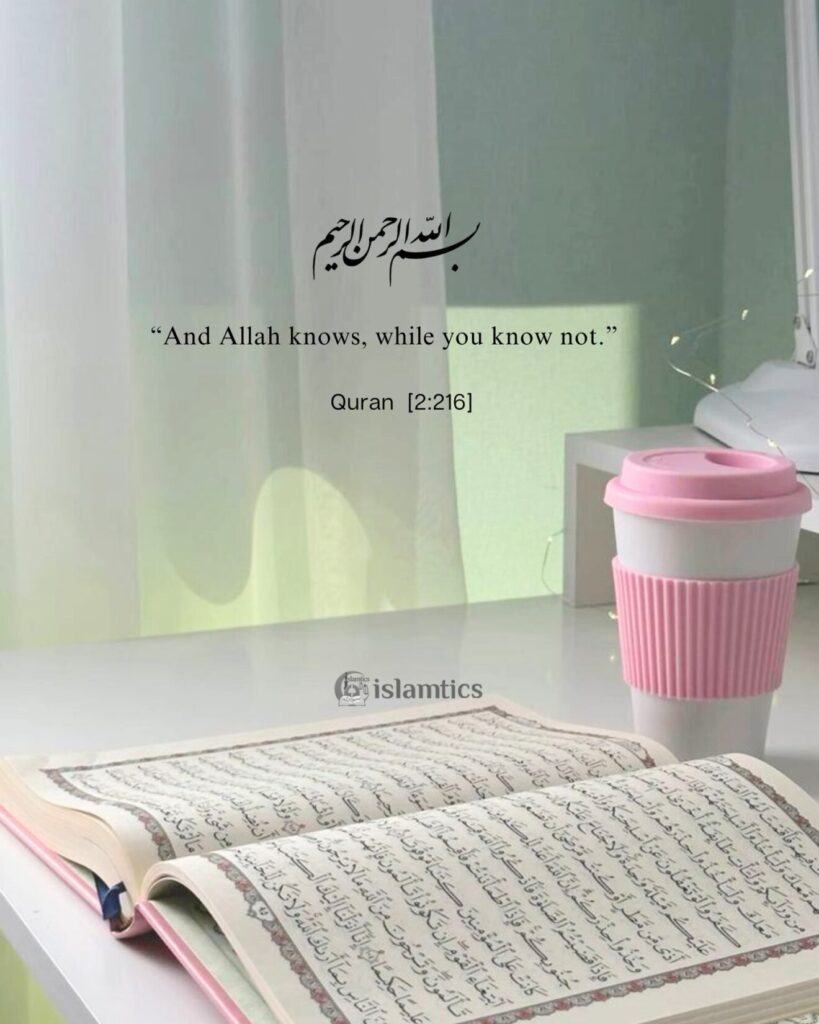 .“And Allah knows, while you know not.”