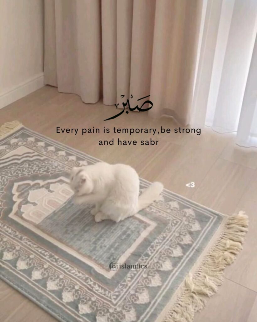 Every pain is temporary, be strong and have sabr