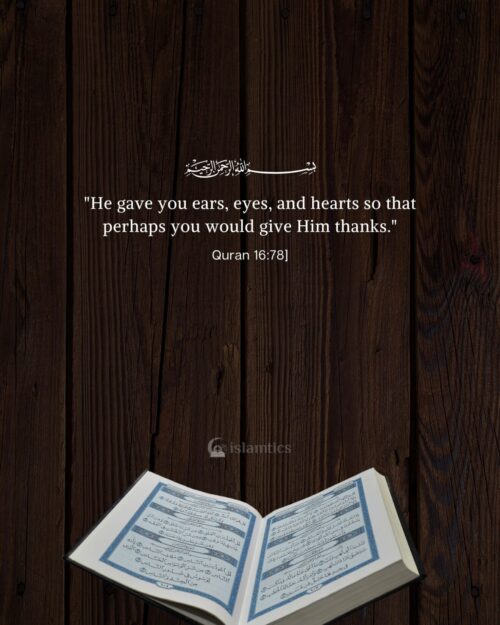 He gave you ears, eyes, and hearts so that perhaps you would give Him thanks.