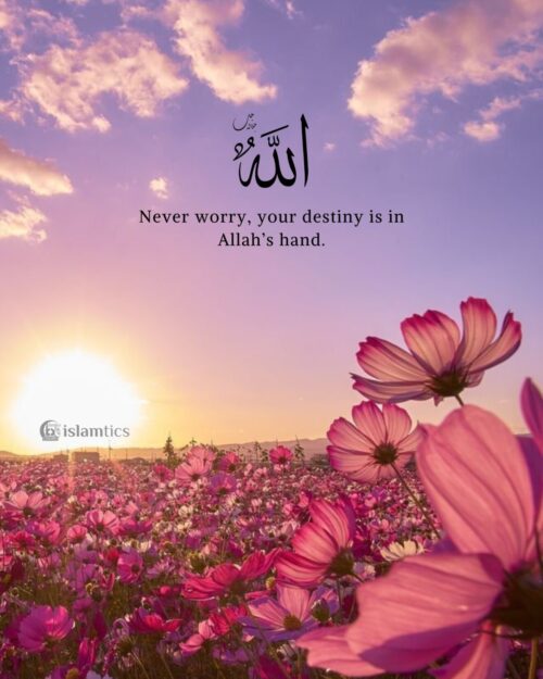 Never worry, your destiny is in Allah’s hand.