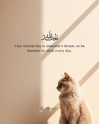 Your normal day is someone's dream, so be thankful to Allah every day.