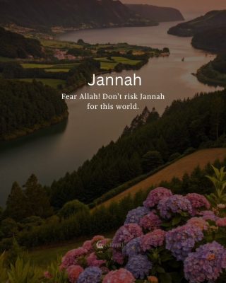 Fear Allah! Don’t risk Jannah for this world.