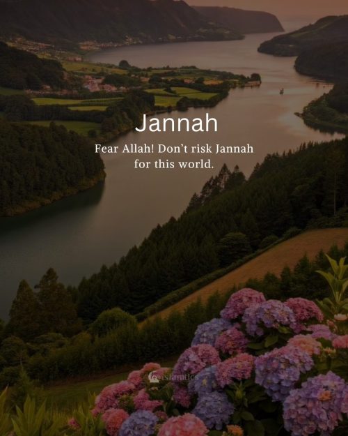 Fear Allah! Don’t risk Jannah for this world.