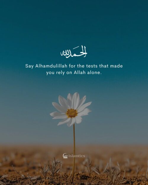 Say Alhamdulillah for the tests that made you rely on Allah alone.