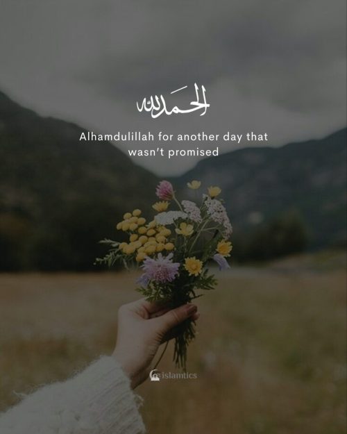 Alhamdulillah for another day that wasn’t promised