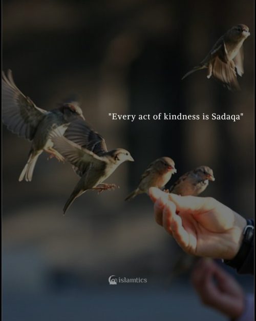 "Every act of kindness is sadaqa"