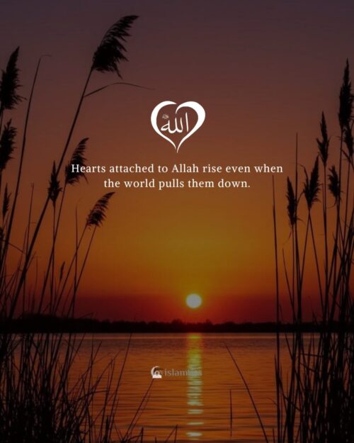 Hearts attached to Allah rise even when the world pulls them down.