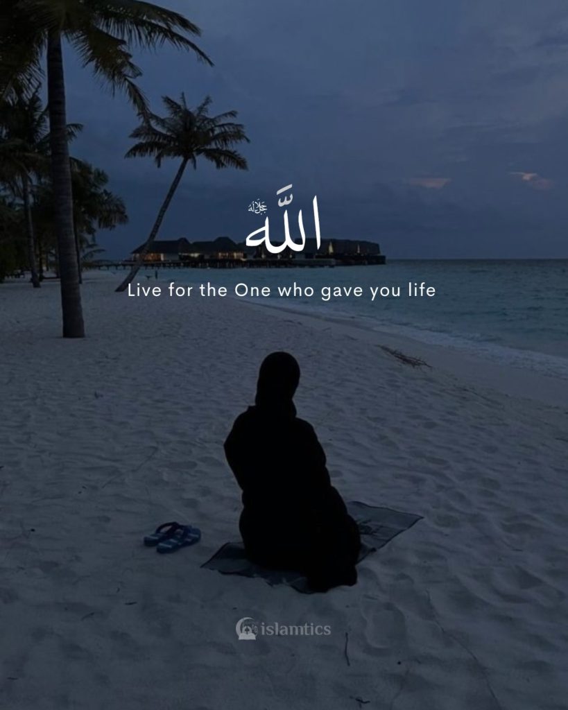 Live for the One who gave you life—Allah.