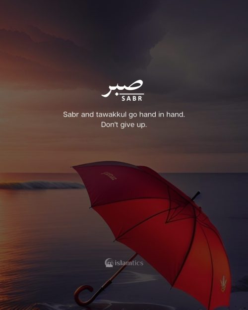 Sabr and tawakkul go hand in hand. Don't give up.