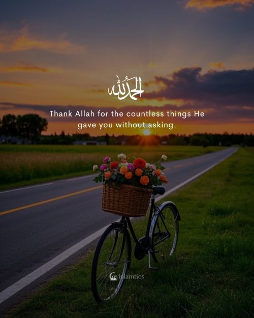 Thank Allah for the countless things He gave you without asking.