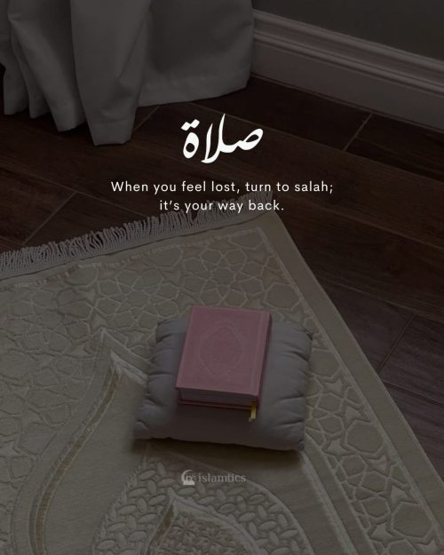 When you feel lost, turn to salah; it’s your way back.